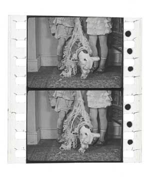 Title Clip Thumbnail