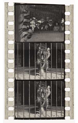 Title Clip Thumbnail