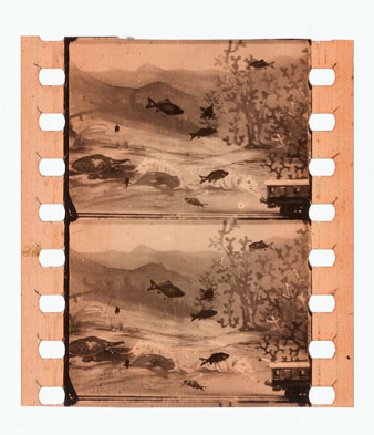 Clip Thumbnail
