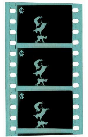 Title Clip Thumbnail