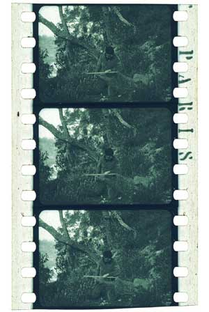 Title Clip Thumbnail
